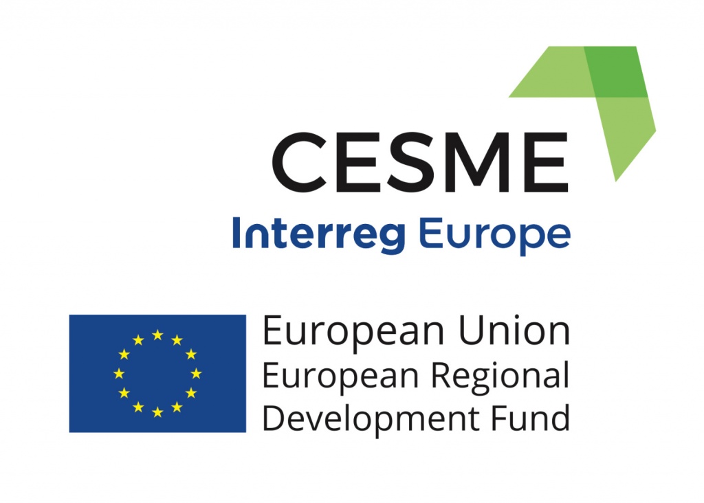 logo_CESME_EU_FLAG